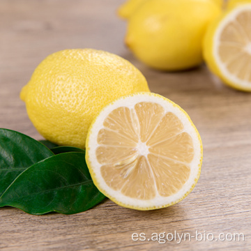 Nuevo cultivo fresco limón frutos al por mayor precio al por mayor
